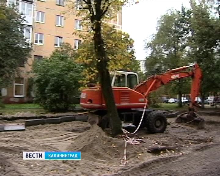 «Под самый корешок»: Во время ремонта двора на ул. Дзержинского рабочие повредили вековые деревья