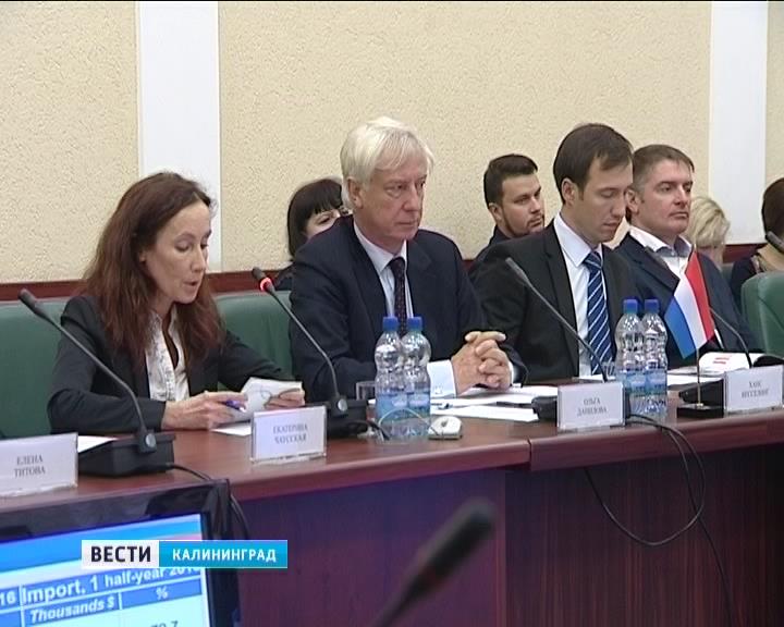 Голландцы намерены развивать сотрудничество с Калининградской областью