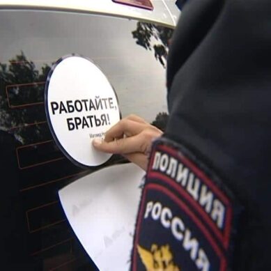 «Работайте, братья!»: Калининград присоединился ко всероссийской акции полицейских