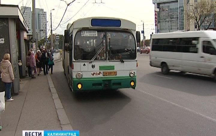 Проезд в общественном транспорте Калининграда подорожает. Перевозчики станут честнее