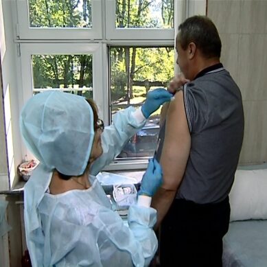 Где и кому сделают прививки от гриппа в Калининграде бесплатно