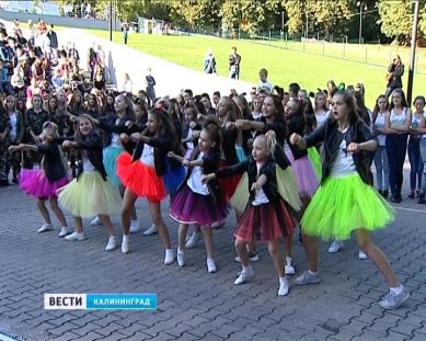 Калининградские танцоры-любители высадились на «Танцплантации-2016»