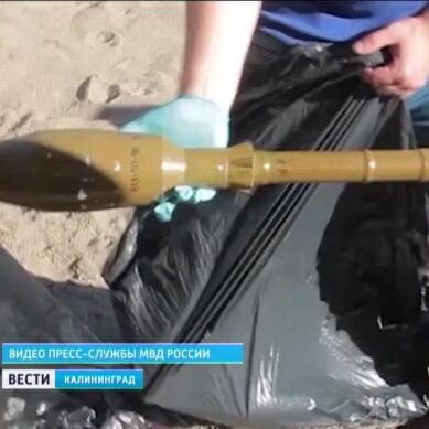 Опубликовано видео изъятия боеприпасов преступной группировки в Калининграде