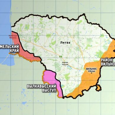 Забор на границе Литвы и Калининградской области обойдётся в более 3 миллионов евро