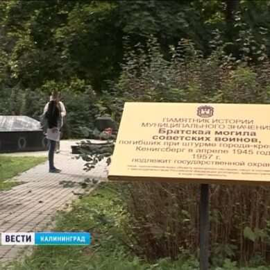 В Калининграде возбуждено уголовное дело о надругательстве над братскими могилами