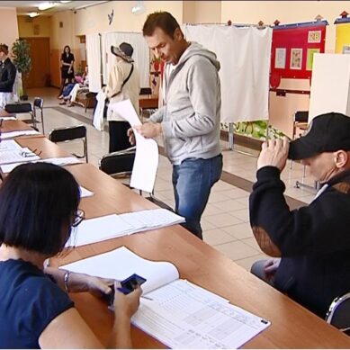 Облизбирком представил предварительные результаты голосования в Калининградской области