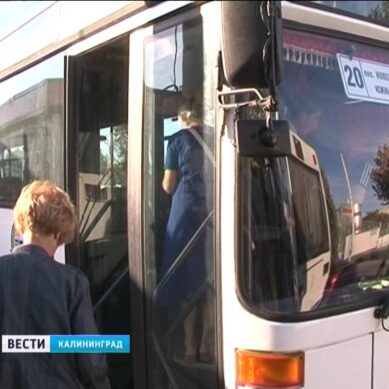 Калининградцам предложат отслеживать движение автобусов с помощью смартфона