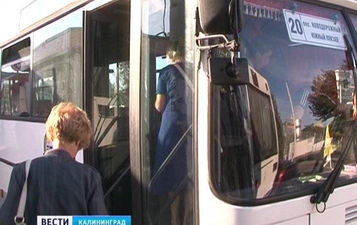 Калининградцы стали меньше жаловаться на работу общественного транспорта