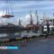 В порту Калининграда задержано 57 тонн аргентинского хека