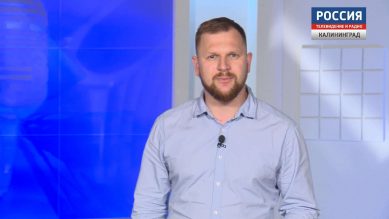 Николай Долгачёв: «Калининград. Группы смерти.»