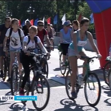 В день велопробега ограничат движение на улицах Калининграда