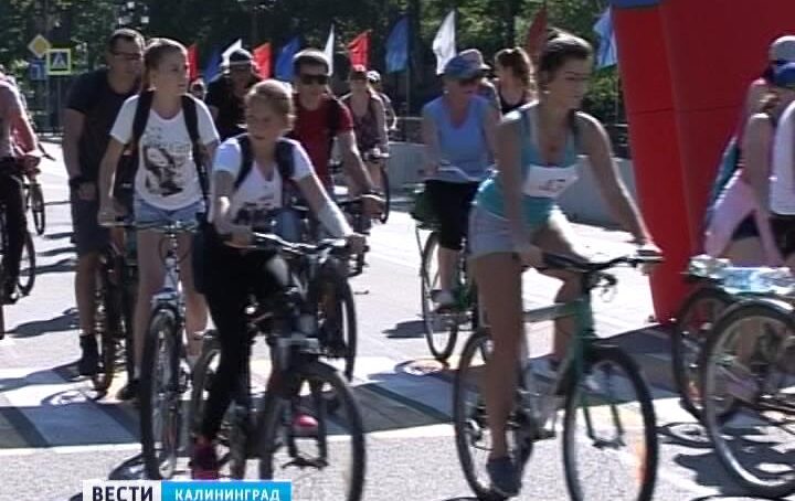 В день велопробега ограничат движение на улицах Калининграда