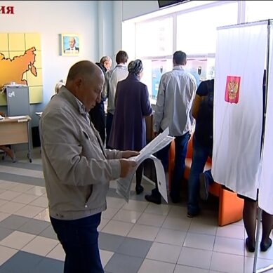 В Мамоново, Озёрске и Янтарном началось голосование