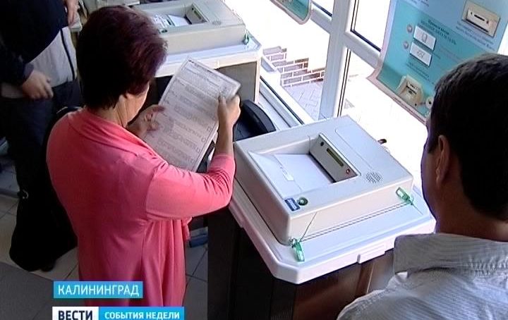 Калининградцы смогут найти избирательный участок в мобильном приложении