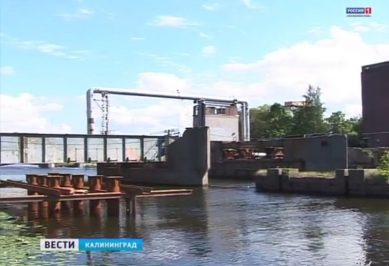 В Калининграде появится памятник сому, мешавшему ремонту моста