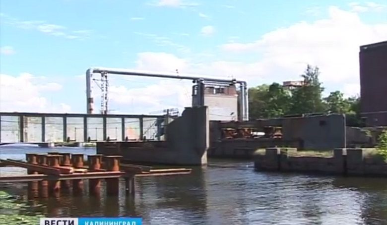 В Калининграде появится памятник сому, мешавшему ремонту моста