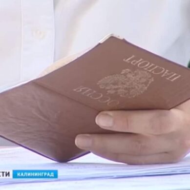С 2017 года паспорт можно будет получить в многофункциональном центре