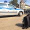 Калининградец украл рюкзак у студентки в больнице