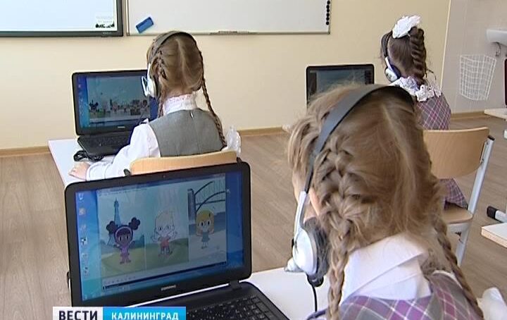 Для российских учащихся организуют уроки по интернету