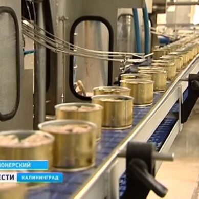 Калининградская область выпустит на российский рынок свыше 40 млн банок шпрот