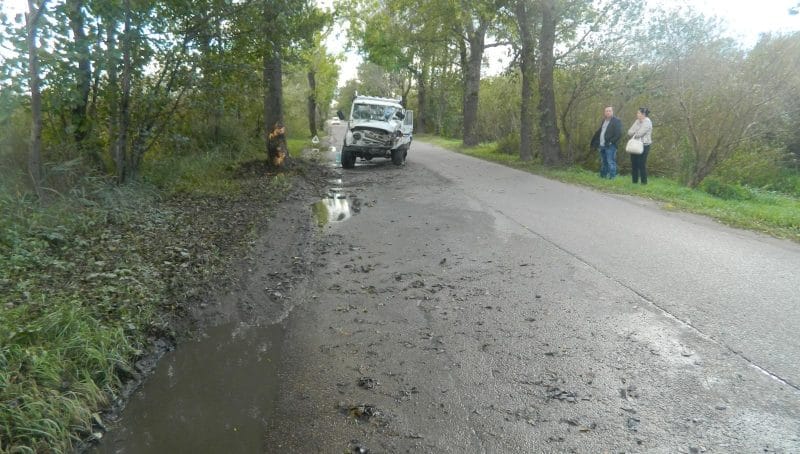 В Калининграде «УАЗ» врезался в дерево и отскочил на проезжую часть: пострадал мужчина