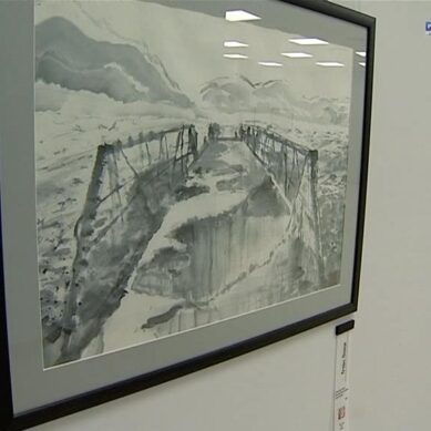 «Суйбокуга по-русски»: В калининградском Музее мирового океана стартовала выставка японской живописи