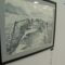 «Суйбокуга по-русски»: В калининградском Музее мирового океана стартовала выставка японской живописи