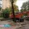 «Под самый корешок»: Во время ремонта двора на ул. Дзержинского рабочие повредили вековые деревья