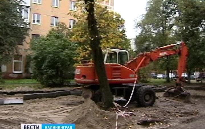 За незаконную вырубку деревьев в Светлогорске застройщика оштрафовали на миллион рублей