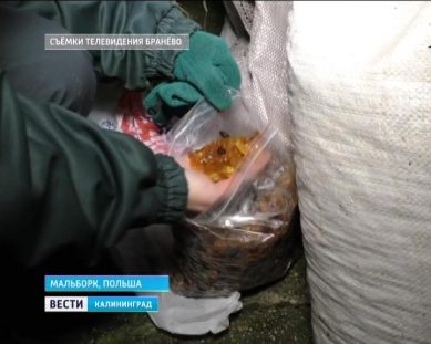 Калининградцам, пытавшимся нелегально провезти в Польшу 300 кг янтаря, грозит 5 лет тюрьмы