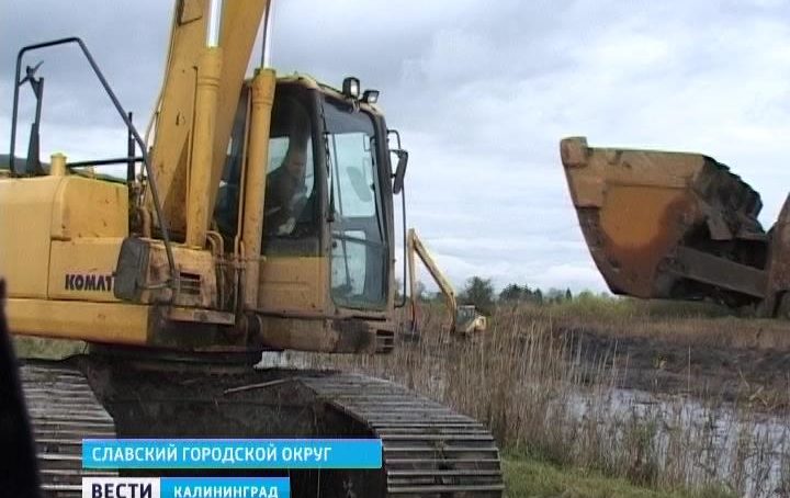 Ещё 7 тыс. гектаров неиспользованных земель введут в оборот в Калининградской области