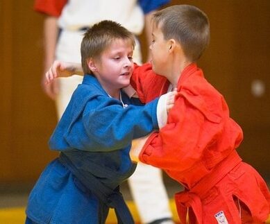 Борьбу самбо будут практиковать на уроках физкультуры в российских школах