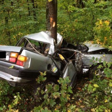 На зеленоградской трассе пьяный водитель врезался в дерево: погиб человек
