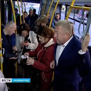 Глава Калининграда: Мы добиваемся, чтобы все автобусы выходили на маршруты