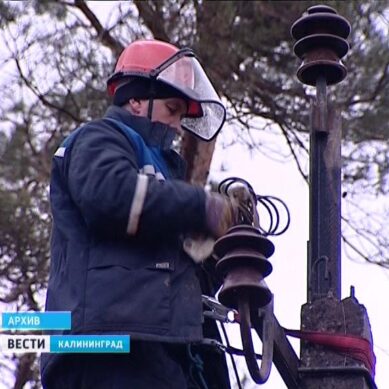 Сильный ветер оставил без света шесть поселков в Калининградской области