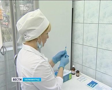 Жителей Калининградской области интересует состав вакцины от гриппа