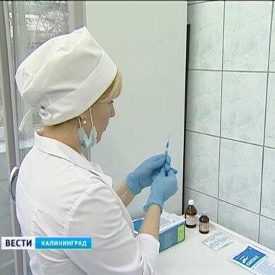 Жителей Калининградской области интересует состав вакцины от гриппа