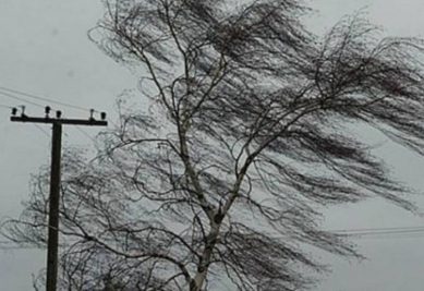 МЧС предупреждает об усилении ветра в Калининградской области