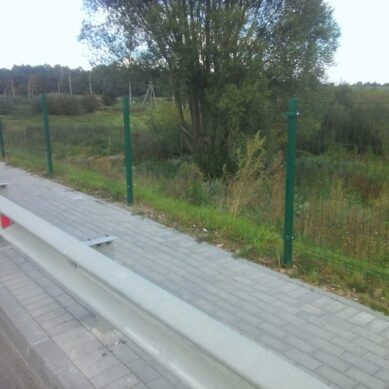 Литва начнет строить стену на границе с Россией на следующей неделе