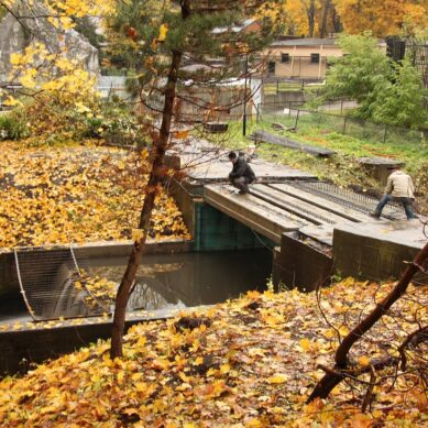 В Калининградском зоопарке отремонтируют мостик