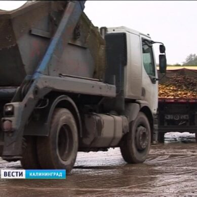 За вывоз мусора на закрытый полигон в Космодемьянском перевозчики могут лишиться лицензии