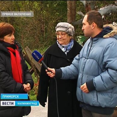 Телепробег: «Вести-Калининград» в Приморске