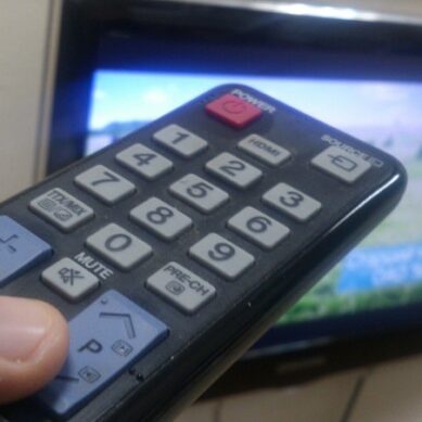 Телевизоры воруют! В садовом обществе «Чайка» в Калининграде украли ТВ