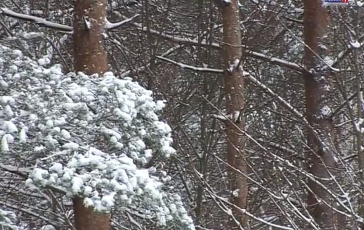 Синоптики прогнозируют в Калининграде снег с дождем