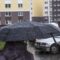 В Калининграде ожидается дождливая неделя