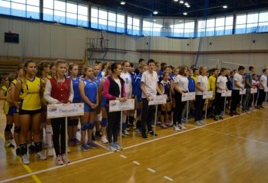 В Калининграде может появиться профессиональный волейбольный клуб