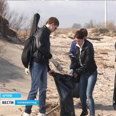 Масштабный проект по уборке побережья Балтийского моря стартовал в Калининградской области