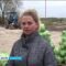 Фермеры из Калининградской области отличились на агропромышленной выставке «Золотая осень — 2016»