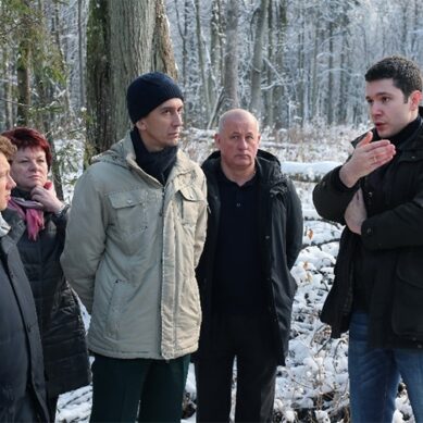 Антон Алиханов остановил варварскую вырубку лесов в Калининградской области