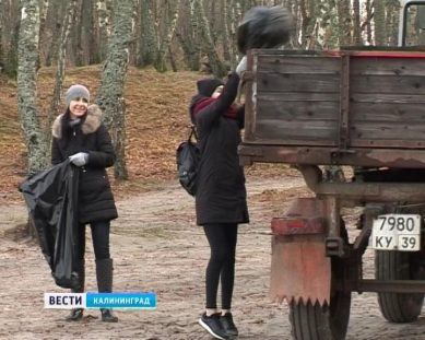 Волонтеры на побережье Балтийского моря собрали 1,5 тонны мусора